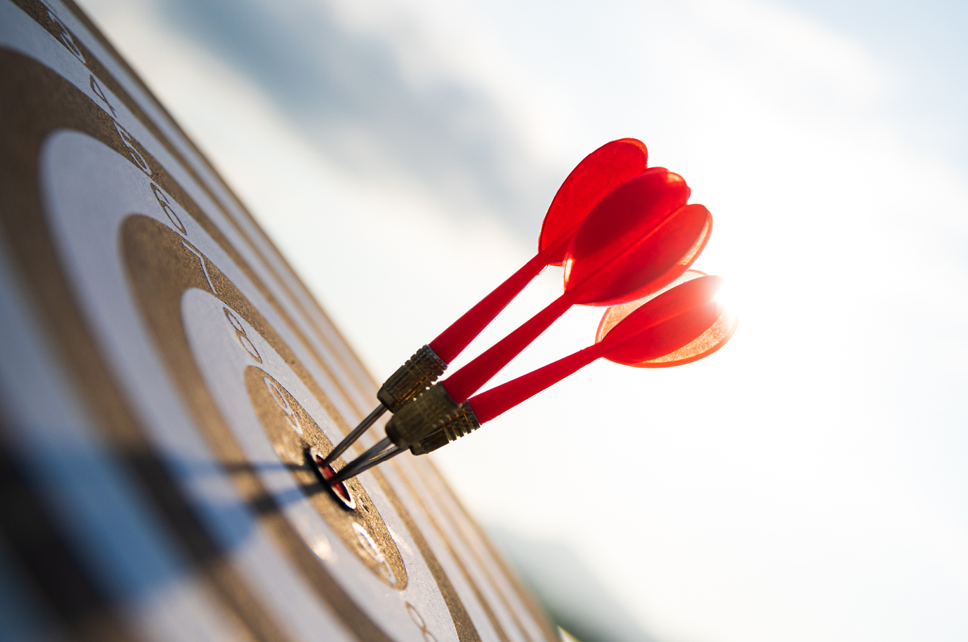 Anwenderwebinar: Social Media Advertising - das 1 x 1 für gelungenes Targeting