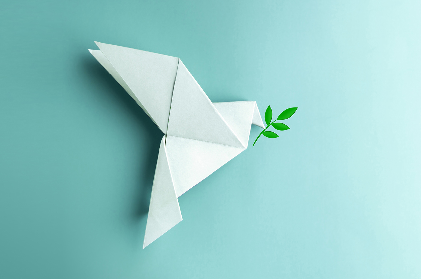 TimeWaver Webinarbild