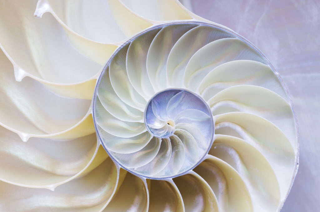 Webinarbild TimeWaver