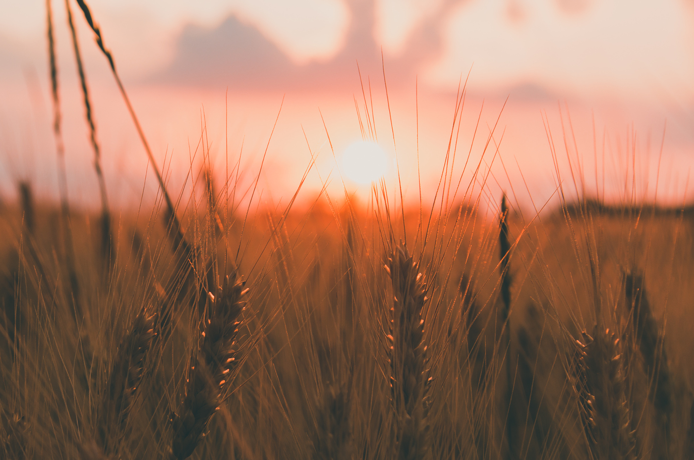 24.11. Putte-Voragen