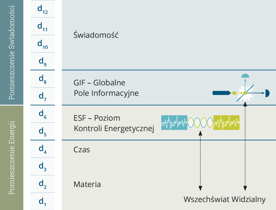 Information Field Applications